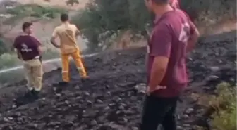 Datça'da Zeytinlik Alanda Yangın Kontrol Altına Alındı