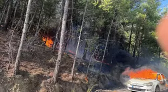 Muğla'da Ormana Sıçrayan Yangın 1 Saatte Söndürüldü