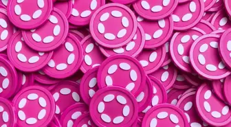 Polkadot, Wall Street için sermaye piyasaları birimi kurdu