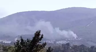 Milas'ta Ormanlık Alanda Yangın Çıktı, Kontrol Altına Alındı