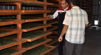 Bayburt'ta Tarhun Kurutma Tesisi Açıldı