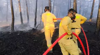 Bolu'da Orman Yangını 8,5 Saat Süren Mücadele Sonrası Kontrol Altına Alındı