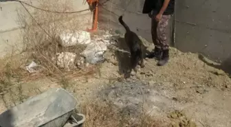 Büyükçekmece'de Gömmüş Oldukları Cesedin Detayları Ortaya Çıktı