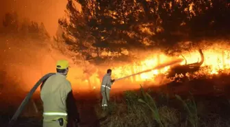 Çanakkale'de Orman Yangınları 5 Bin 236 Hektar Alanı Yaktı