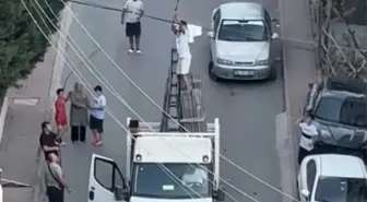 Kocaeli'de Güvercin Kurtarma Operasyonu