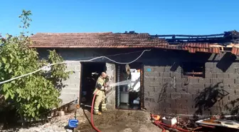 Balıkesir'de Yangın Panic Yaratmadı