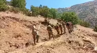 Hakkari'de Orman Yangınlarına Asker ve Köylülerle Mücadele