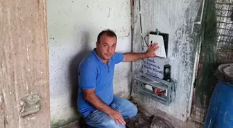 Sivas'ta Akıllı Kümes Kapısı Sistemi Geliştirildi
