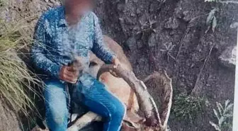 Kars'ta Yaban Keçisi Avlayan Kişiye 650 Bin Lira Ceza