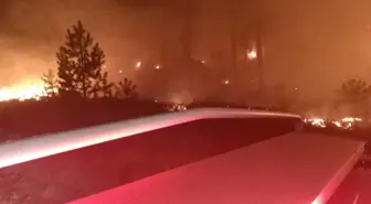 Muğla'da Orman Yangını Kontrol Altına Alındı