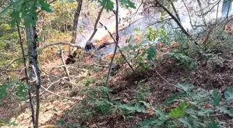 Osmaniye'de Orman Yangını Kontrol Altına Alındı
