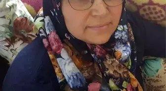 İzmir'de Yürüyüş Yapan Kadın Sahipsiz Köpeklerin Saldırısında Hayatını Kaybetti