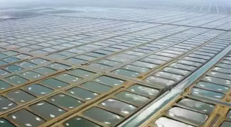 Adana'da Tarıma Dayalı İhtisas Su Ürünleri OSB Kuruldu