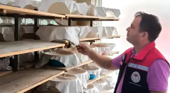 Tekirdağ'da Ekmek Üreten İşletmelere Eş Zamanlı Denetim