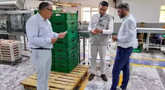 Yalova'da Gıda Karekod Uygulaması Başlatıldı