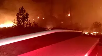 Muğla'da Orman Yangınına Müdahale Başlatıldı