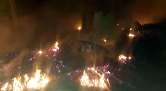 Muğla'da Orman Yangını Kontrol Altına Alındı