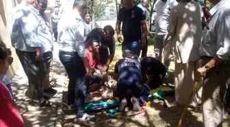 Besni'de 4. Kattan Düşen 3 Yaşındaki Zeynep Hayatını Kaybetti