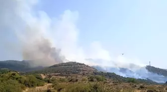İzmir Aliağa'da Yangın: Ekipler Kontrol Altına Almaya Çalışıyor