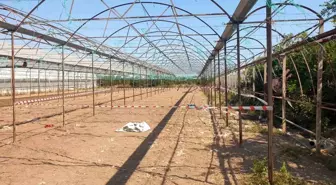 Finike'de Serada Silahlı Saldırı: 2 Kişi Hayatını Kaybetti