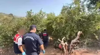 Mersin'de Uyuşturucu Operasyonu: 1580 Kök Kenevir Ele Geçirildi