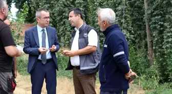 Bilecik Pazaryeri'nde Şerbetçi Otu Üretimi İncelendi