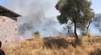Bodrum'da Çıkan Ot Yangını Tarım Arazisine Sıçradı