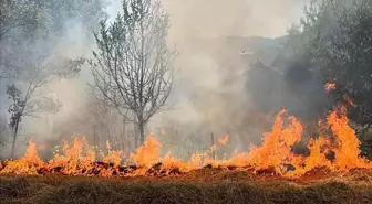 Bolu'da Orman Yangınlarını Önlemek İçin Akaryakıt Alım-Satımında Yeni Yasaklar