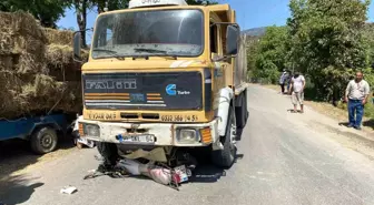 Aydın'da Motosiklet ve Kamyon Çarpıştı: 1 Yaralı