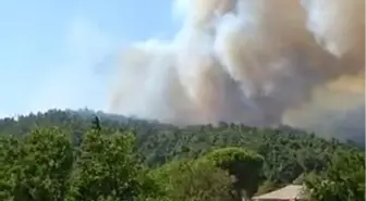 Çanakkale Gelibolu'da Orman Yangını Başladı