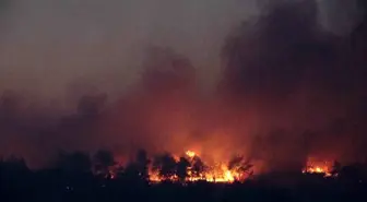 Çanakkale Gelibolu'da Orman Yangınına Müdahale Devam Ediyor