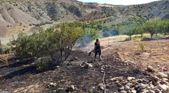 Malatya'da Orman Yangını Kontrol Altına Alındı