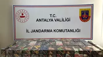 Antalya'da Kaçak Nargile Tütünü Operasyonu: 22 Kilo Ele Geçirildi