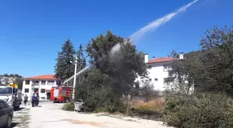 Mudurnu'da Elektrik Telleri Koptu, Yangın Çıktı