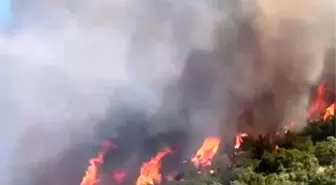 Malatya'nın Doğanyol İlçesinde Orman Yangını