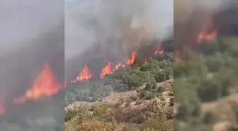 Malatya'da Orman Yangını: Ekipler Mücadele Ediyor