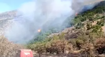 Malatya'da Orman Yangını Kontrol Altına Alındı