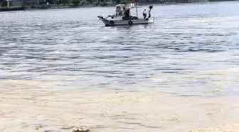 Marmara Balıkçılarına Müsilaj Desteği Müjdesi