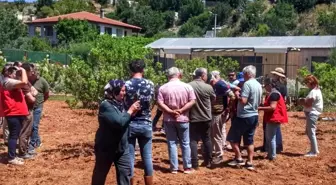 Muğla'da Sakız Ağacı Yetiştiriciliği İçin Tarla Günü Düzenlendi