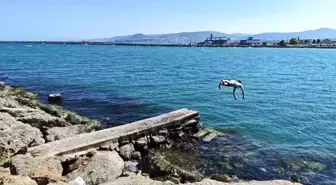 Samsun'da Denize Girme Engelleri Kaldırılsın İsteği