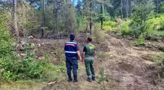 Sinop'ta Orman Yangınlarına Karşı Denetimler Sürüyor