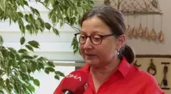 Yapay ışıklar deniz ekosistemini tehdit ediyor