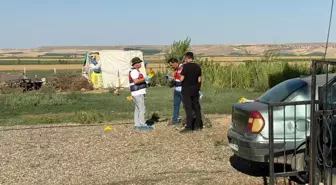 Ailelerin kavgasında ortalık savaş alanına döndü: 2 ölü, 13 gözaltı
