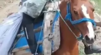 Kağızman'da Av Tüfeği ile Oynayan Çoban Hayatını Kaybetti