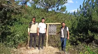 Göynük'te Kabuk Böceği Zararlısına Karşı Biyolojik Mücadele Başlatıldı