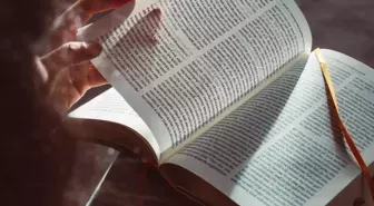 Danimarka, Kitaplarda KDV'yi Kaldırdı
