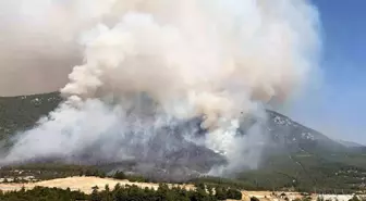 Denizli'de Orman Yangınına Hızla Müdahale Ediliyor