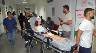 Aksaray'da Düğüne Giden Çocuk Köpek Saldırısına Uğradı