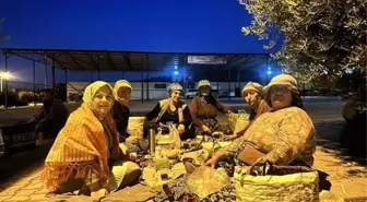 Sema Silkin Ün, Üzüm Üreticilerinin Sorunlarına Dikkat Çekti