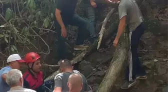 Fındık Toplarken Uçurumdan Düşen Yaşlı Adam Hayatını Kaybetti